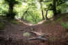 Roman remains near Falkirk.   This is the ditch that ran alongside the Antonine wall built by the Romans in  140-142 AD