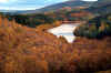 Loch Drunkie in autumn, Trossachs region, Scotland