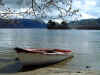 Summer on west shore of Loch Lomond, Scotland