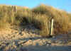 Dunes, at Irvine, Ayrshire