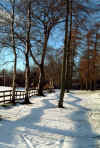 Winter Shadows, Entrance Drive, Calderglen Park East Kilbride